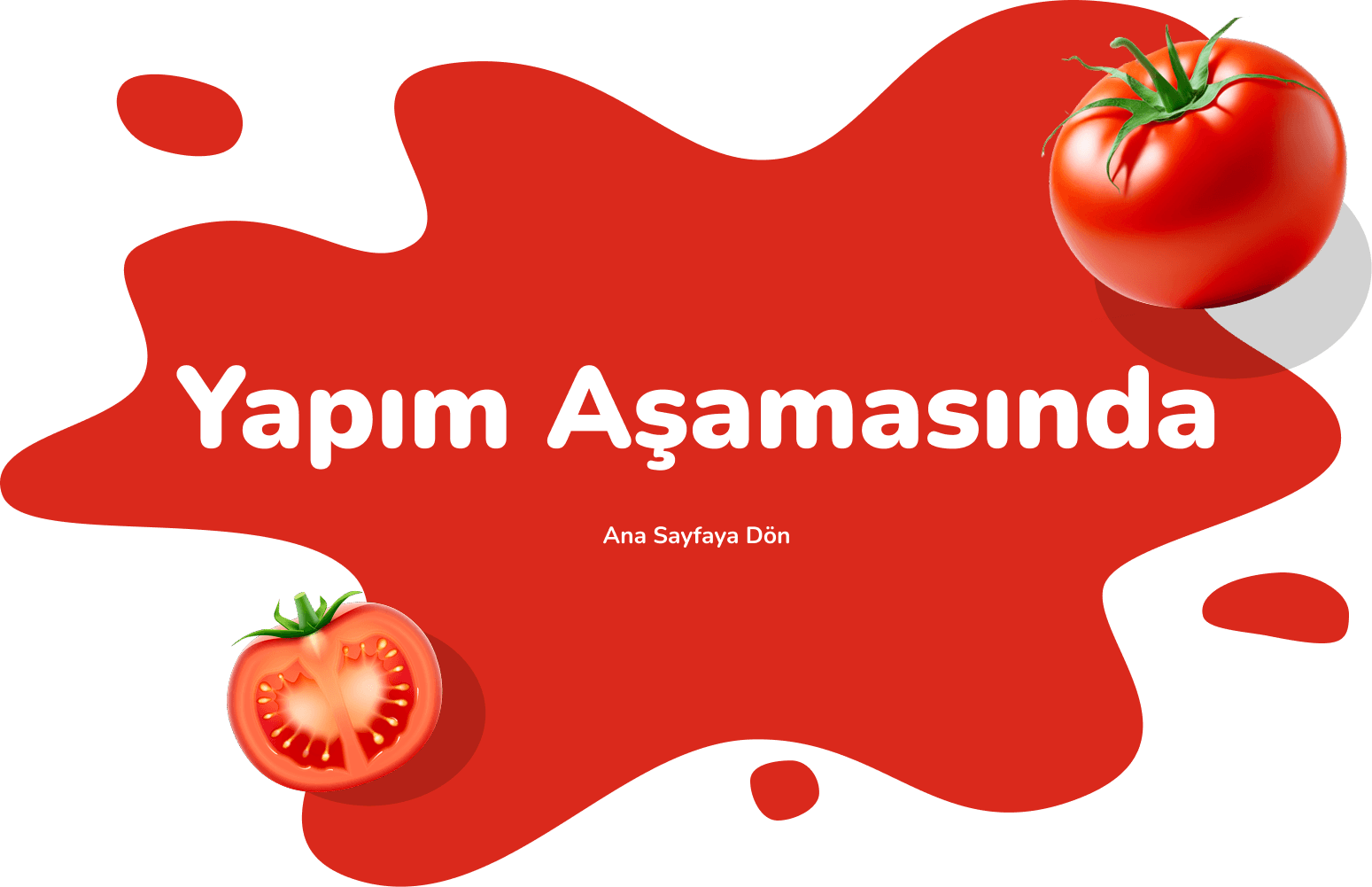 Yapım Aşamasında